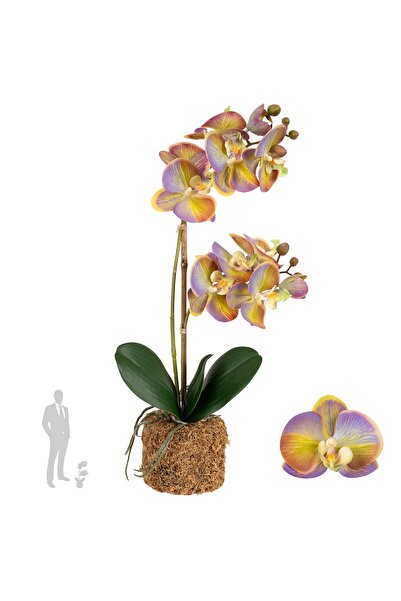 Roberto Rossi Orhidee artificiala mov cu verde cu aspect H46 cm cu 2 tulpini
