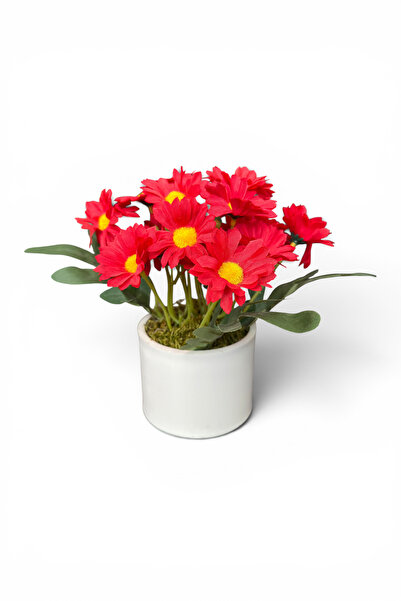 YAPAY ÇİÇEKÇİNİZ Artificial Daisy in White Colored Pot 18 cm with Dense Leaves