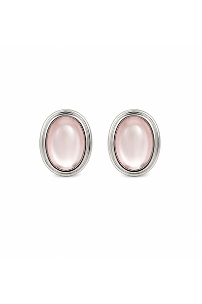 shop Steel Halo Earrings (Silver Frame - Pink) 2 cm