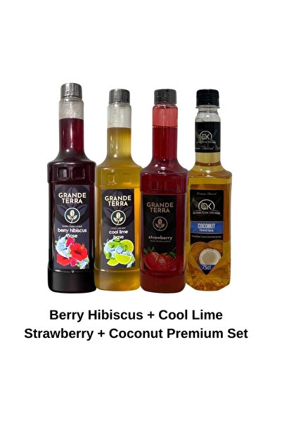 GRANDE TERRA Premium İçecek Bazları ve Aromalı Şurup Seti 4'lü (Berry Hibiscu...