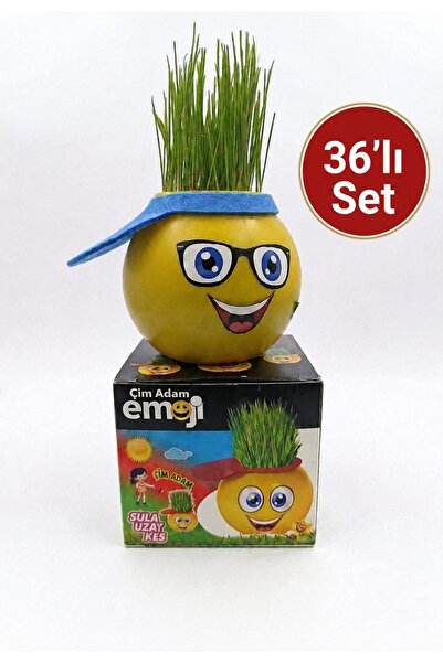Çağdaş Oyuncak 36'lı Emojili Çim Adam Seti | Dekoratif Saksı Oyuncak | Eğitic...