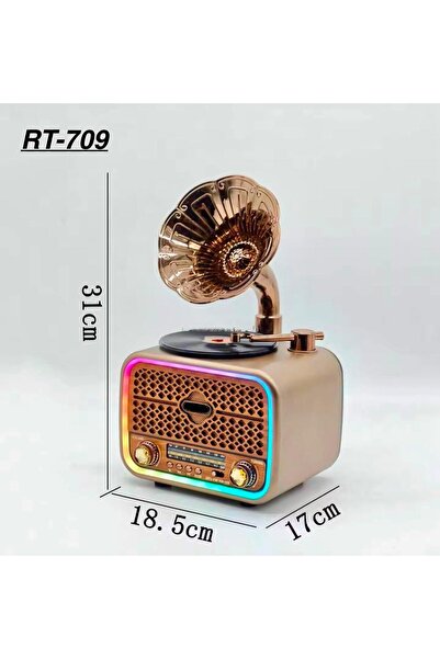 BLOMSTER Everton rt-709 Gramofon Görünümlü Nostaljik Bluetooth Radyo Müzik Çalar