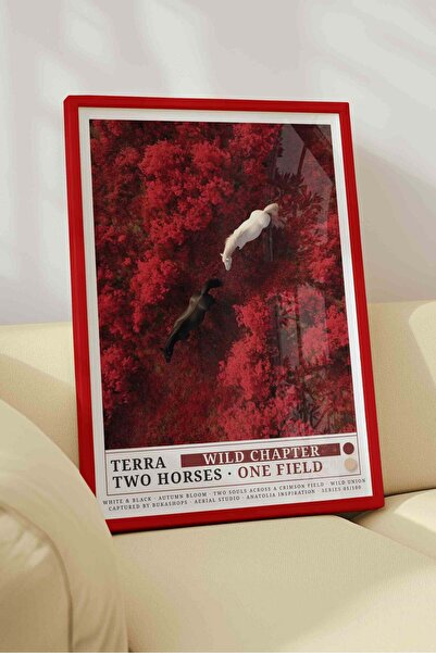 Buka Shops Double Horse Painting Red Autumn Forest – Terra Aerial Art Poster ...