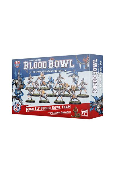 Games Workshop Blood Bowl Echipa Elfilor Înalți Dragonii Caledor