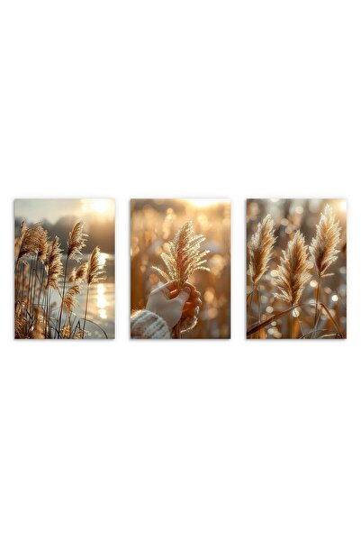 Naklejkomania Postere apus trastie boho pentru living sau dormitor 3x 30x40cm