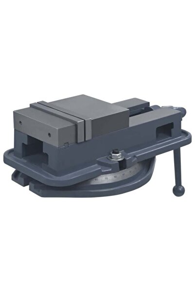 vidaxl Menghină pivotantă, 160 mm, Fontă