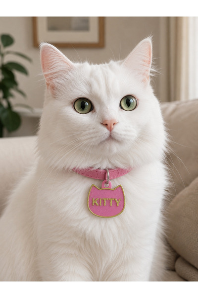 florealFlowers Customized Cat and Dog Tag for Work Orange Pink * Name *Double...