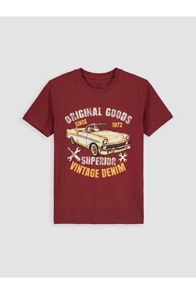 LC Waikiki Crew Neck Printed Boy's T-Shirt
