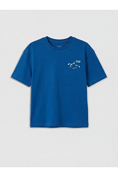 LC Waikiki Crew Neck Printed Boy's T-Shirt