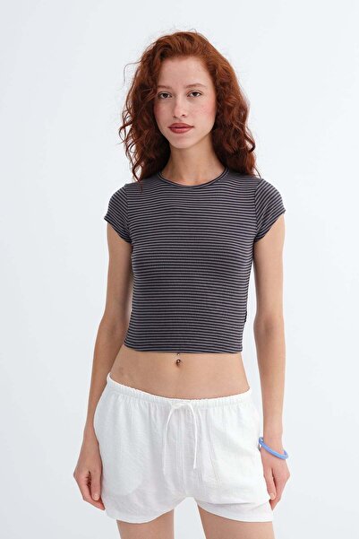 Addax Striped Crop T-Shirt P1936