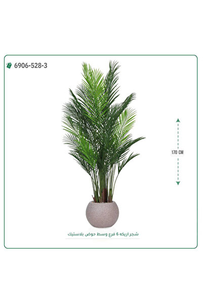 OEMS شجرة أريكا صناعية حوض بلاستيك { ارتفاع 170 سم }
