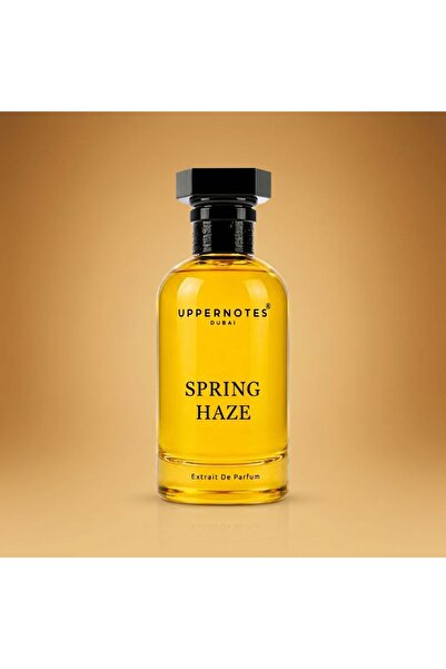 Uppernotes Spring Haze EDP Men Perfume 100ml | Bergamot Ambroxan Ambergris Wo...