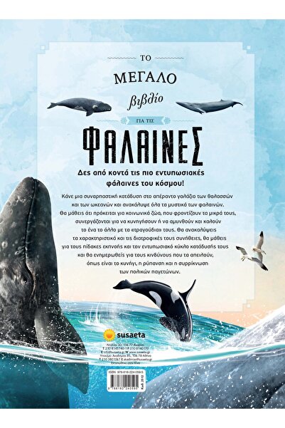 Susaeta Book The Great Book About Whales