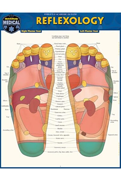 BarCharts Reflexology A Quickstudy Laminated Reference Guide