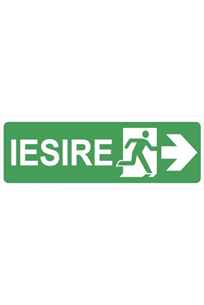 OEM Indicator săgeată în dreapta 10x30 cm pentru evacuare de urgență