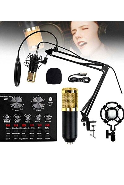 ELTRAZONE Microphone, Live Sound Card & BM800 Suspension Microphone Kit Broad...
