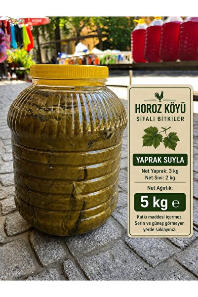 horoz köyü şifalı bitkiler SALAMURA ASMA YAPRAĞI 5KG NET 3KG