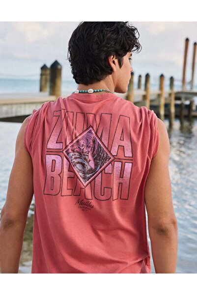 AMERICAN EAGLE AE Standard Fit Destination Graphic T-Shirt