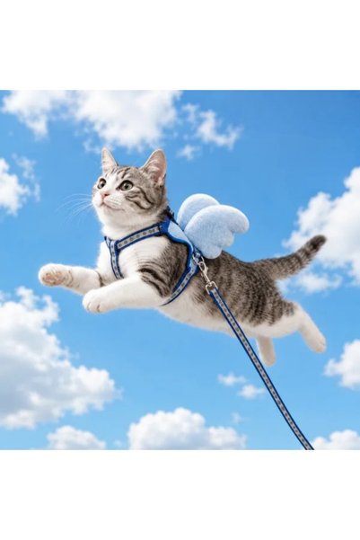Genel Markalar Kedi Kanatlı Bel Tasma Reflektörlü Takım