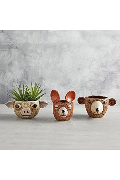 Yıldızan Ens Shop 47Th & Main Unique Textured Shaped Ceramic for Succulents, ...