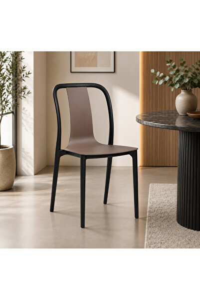 Palma homez Multi-Colored Dining Chair with Bold Modern Design