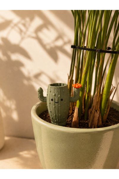 Elana Design Cute Cactus Plant Watering Container |   Flower Pot Watering Dripper |   Flower Pot Watering Container (Surprise Flower Color) Automatic Plant Watering Device