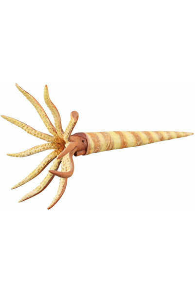 Collecta Orthoceras pentru 3+ ani 15cm