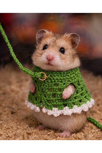 Berliva Home Hamster Örgü Elbise - Gezdirme Tasmall Kemirgen Kiyafeti Yeşil