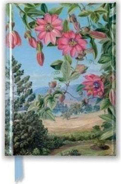 EDUCA Caiet A6