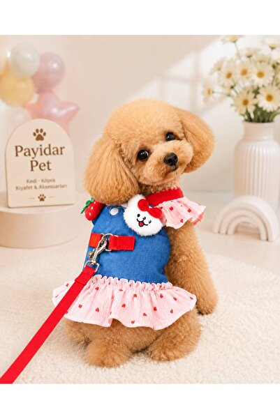 Payidar Hediyelik Premium Strawberry Pattern Dog/Cat Dress - Chest Harness (2...