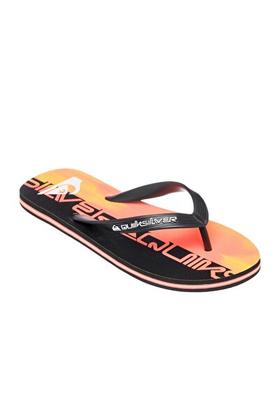 Quiksilver Molokai Art 25 Men's Slippers Men's Slippers Aqyl101430