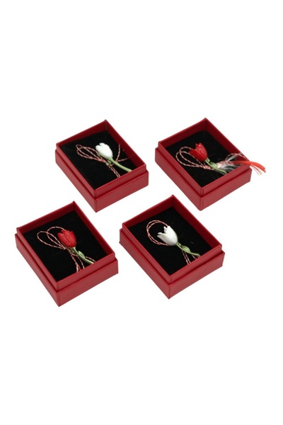 MC Micostore Martisor - ghiocel metalic, cutie de carton rozie
