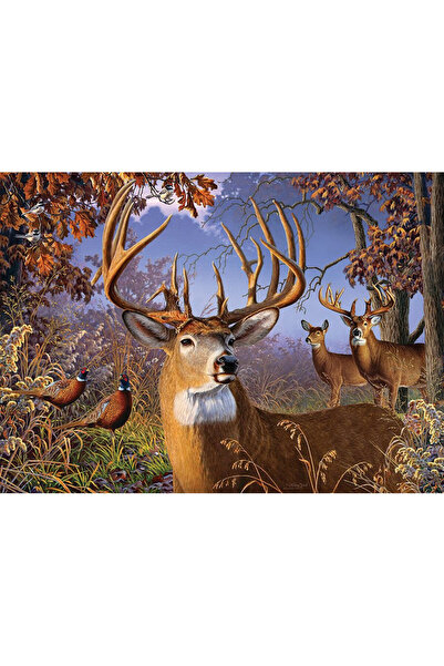 Cobble Hill Puzzle Cobble Hill, 500 de piese, 67,6x48,9cm