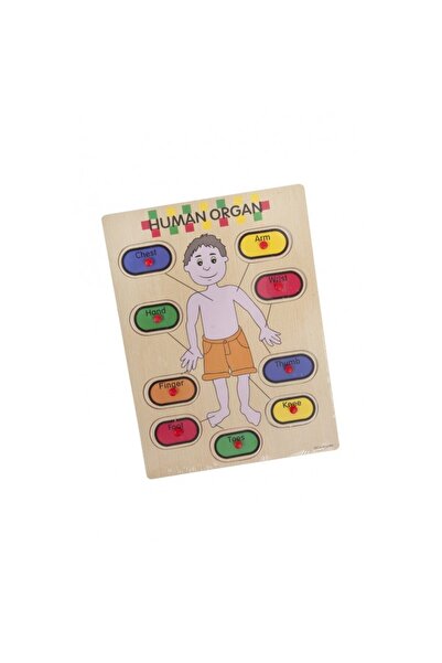 MC Micostore Puzzle lemn educativ - Invata corpul uman, 9 piese, 3+ ani, Colo...