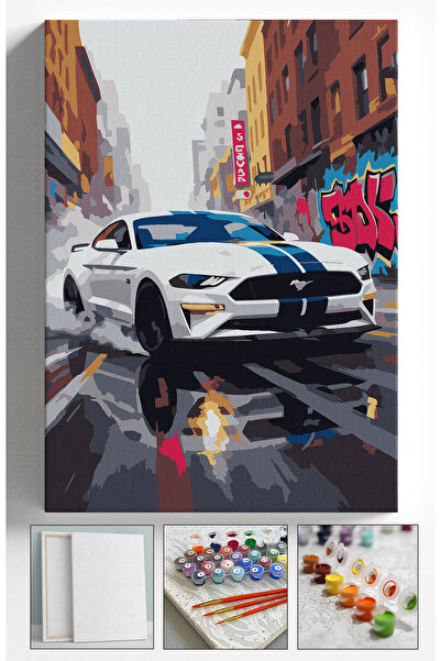 Akihabara Sayılarla Boyama Seti Numaralı Tuval Fırça Boya 40x50 Cm - BEYAZ MU...