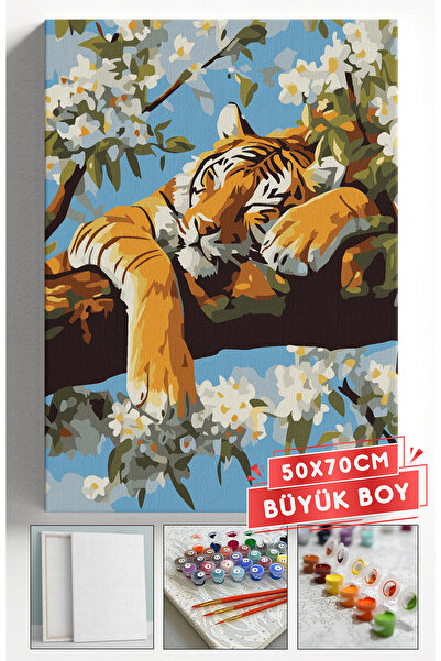 Akihabara Sayılarla Boyama Hobi Seti Çerçeveli Numaralı Tuval Fırça Boya Dahi...