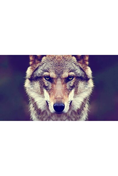 Persona Tablou canvas 100 x 70 cm, Animale model 214