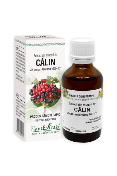 Plantextrakt Extract din Muguri de Calin 50ml