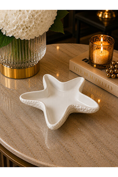 Deslina Sea Star Decorative Home & Office Decoration Object