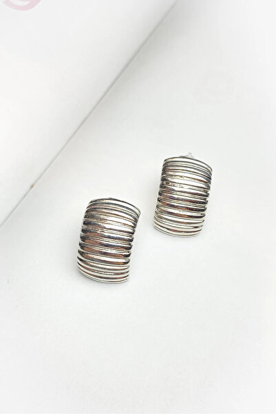 roshel Striped Silver Color Earrings