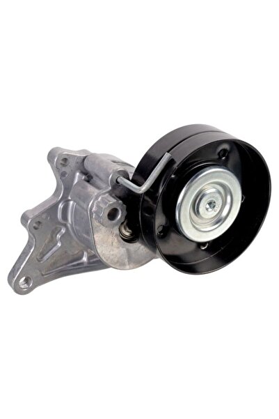 FEBI BILSTEIN Intinzator, curea accesorii Mercedes Cls (c219) E T-model (s211...