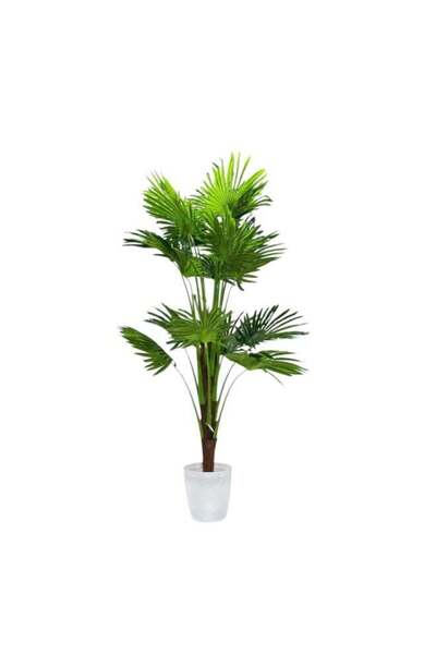 BYT ALRWASM FOR TRADE Artificial palm tree with perfect artificial tropical l...
