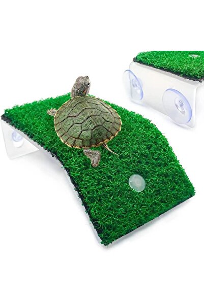 Ocean Free Platforma broasca testoasa cu moss marime small