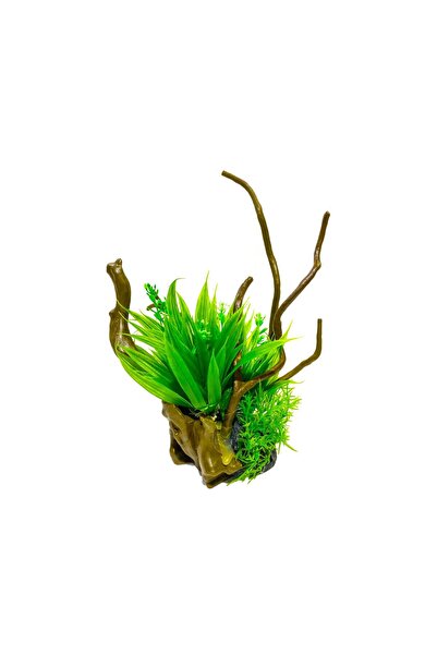 Classica Ornament acvariu moss Echinodorus si drift wood