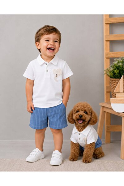 P&H BABYWEAR Baby Boy Summer Polo Collar Elephant Embroidered Striped Shorts Set
