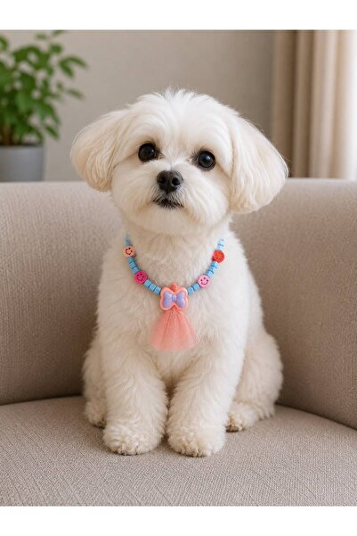 Pawellia.co Stylish Design Cat Collar Cat Necklace Small Breed Dog Collar Dog...