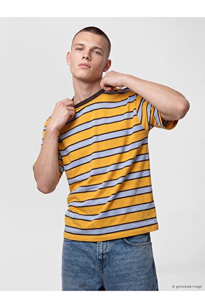 LC Waikiki Peak New Season Crew Neck Striped Men's T-Shirt