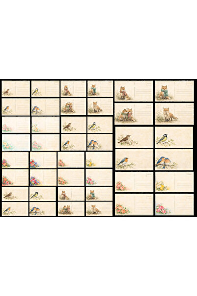 TELLGRAF Birds Themed Sticker Set (21X31 cm 1 Set)