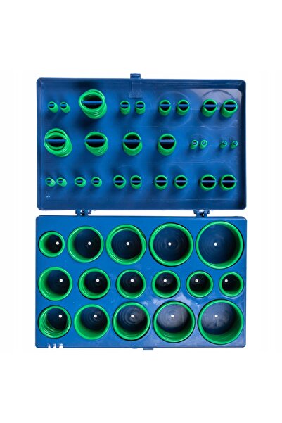 richmann SET DE ORINGS VERDE 419 BUC. KLIMA ORGANIZER WALIZKA C0428