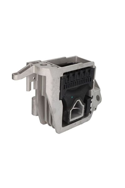 REINHOCH Suport motor RH11-3117